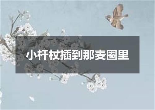 小杆杖插到那麦圈里