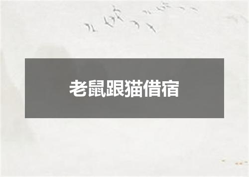 老鼠跟猫借宿