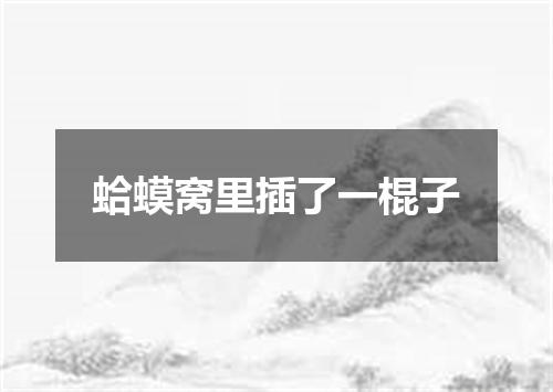 蛤蟆窝里插了一棍子
