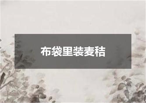 布袋里装麦秸