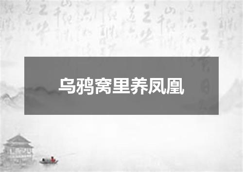 乌鸦窝里养凤凰