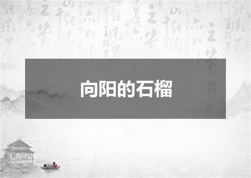 向阳的石榴