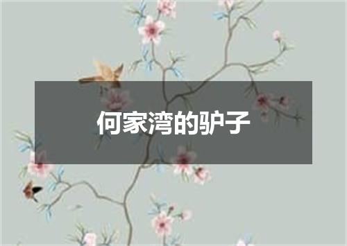 何家湾的驴子