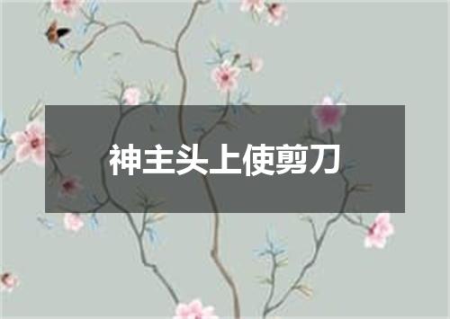 神主头上使剪刀