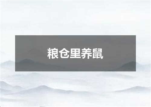 粮仓里养鼠