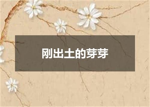 刚出土的芽芽