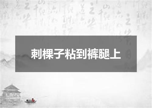 刺棵子粘到裤腿上