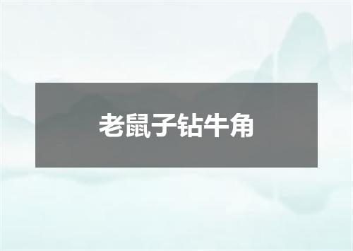 老鼠子钻牛角