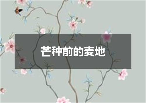 芒种前的麦地