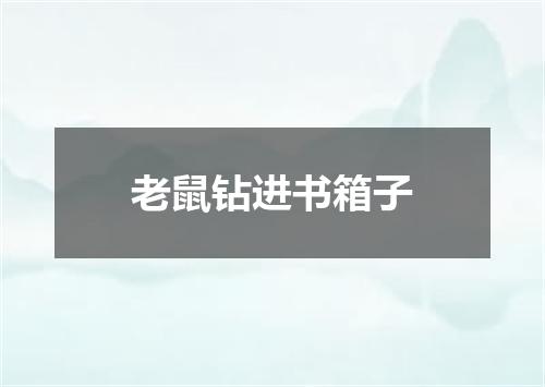 老鼠钻进书箱子