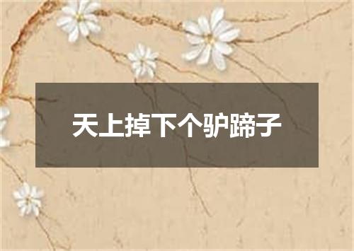 天上掉下个驴蹄子
