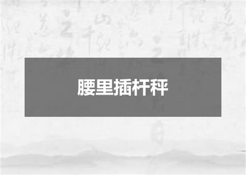 腰里插杆秤