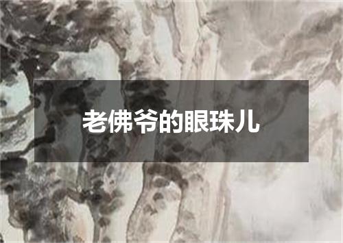老佛爷的眼珠儿
