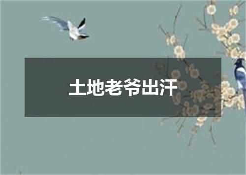 土地老爷出汗