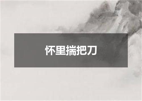 怀里揣把刀