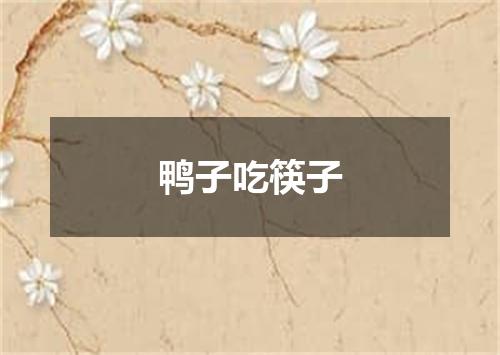 鸭子吃筷子