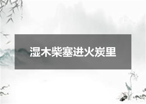 湿木柴塞进火炭里