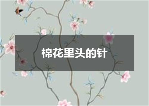 棉花里头的针