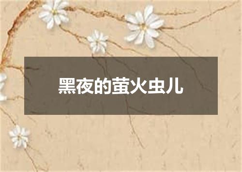 黑夜的萤火虫儿