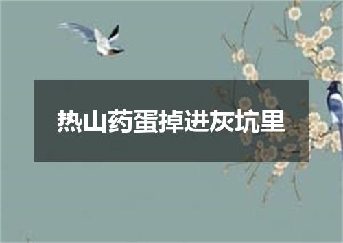 热山药蛋掉进灰坑里