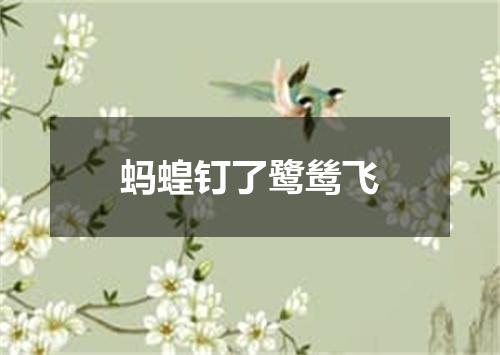 蚂蝗钉了鹭鸶飞