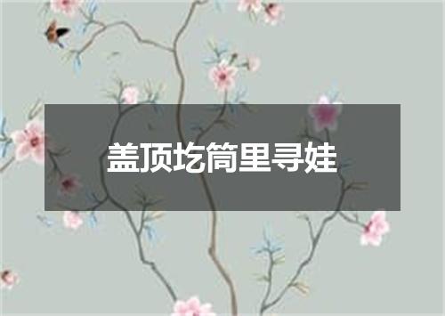 盖顶圪筒里寻娃