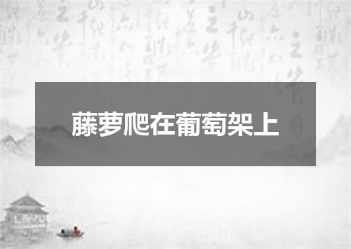 藤萝爬在葡萄架上