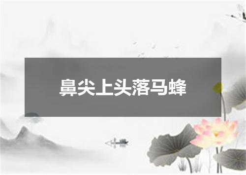 鼻尖上头落马蜂