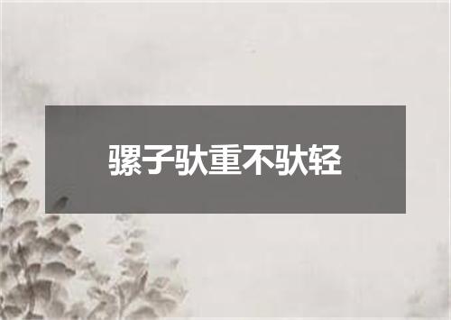 骡子驮重不驮轻