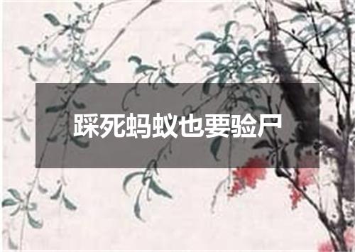 踩死蚂蚁也要验尸