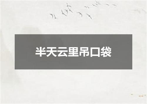 半天云里吊口袋