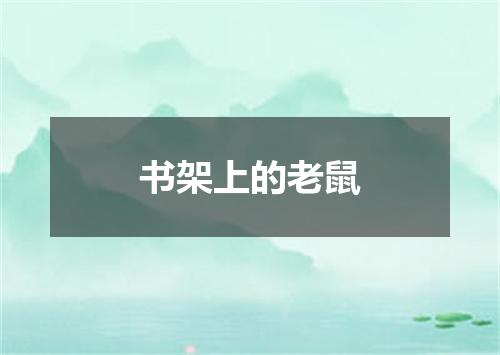 书架上的老鼠