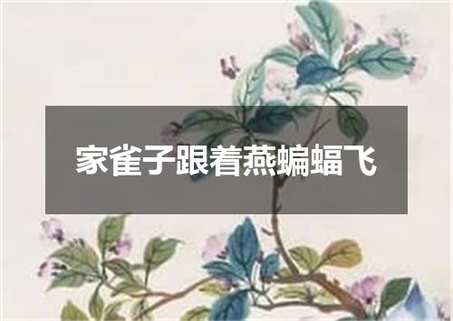 家雀子跟着燕蝙蝠飞