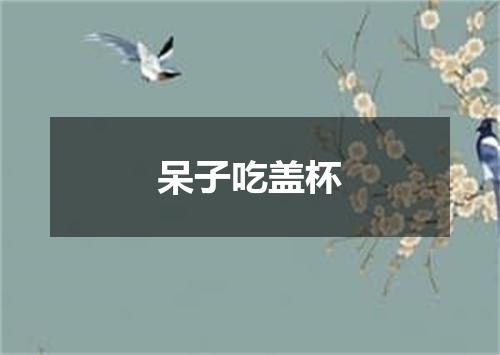 呆子吃盖杯