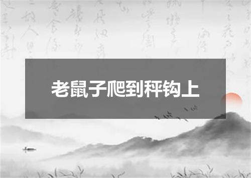 老鼠子爬到秤钩上