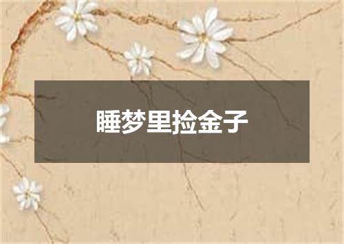 睡梦里捡金子