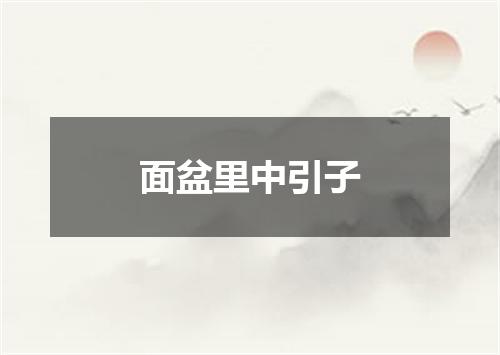 面盆里中引子