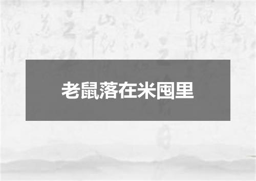 老鼠落在米囤里