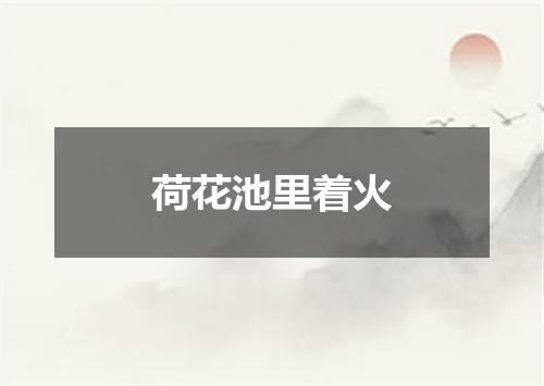 荷花池里着火