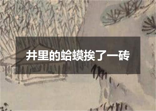 井里的蛤蟆挨了一砖