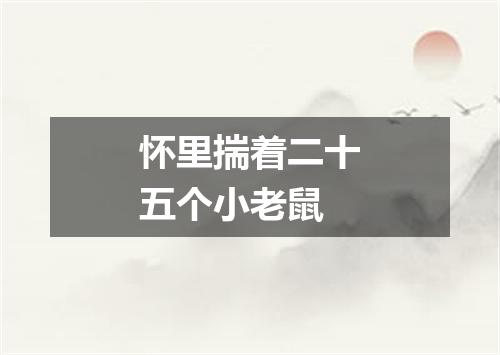 怀里揣着二十五个小老鼠