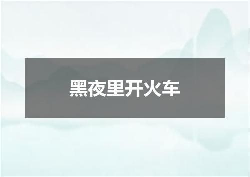 黑夜里开火车