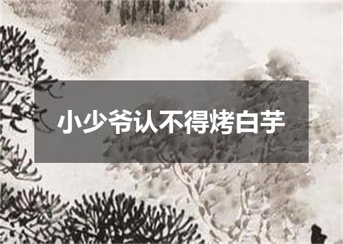 小少爷认不得烤白芋