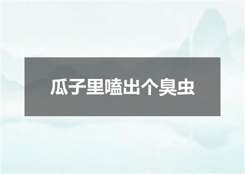 瓜子里嗑出个臭虫