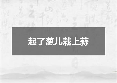 起了葱儿栽上蒜