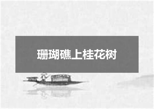 珊瑚礁上桂花树