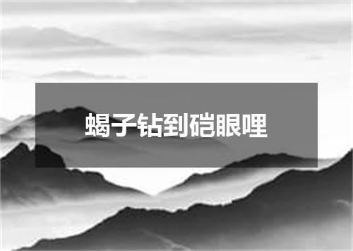 蝎子钻到硙眼哩