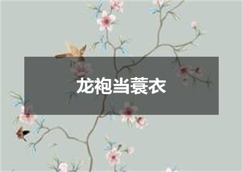 龙袍当蓑衣