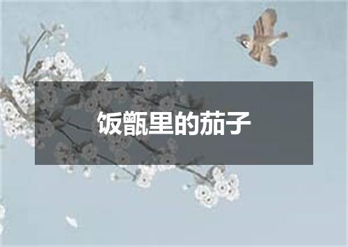 饭甑里的茄子