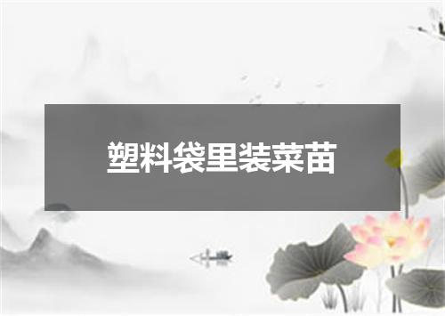 塑料袋里装菜苗